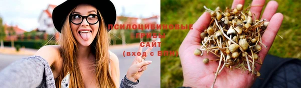 стафф Надым