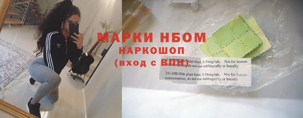 стафф Надым