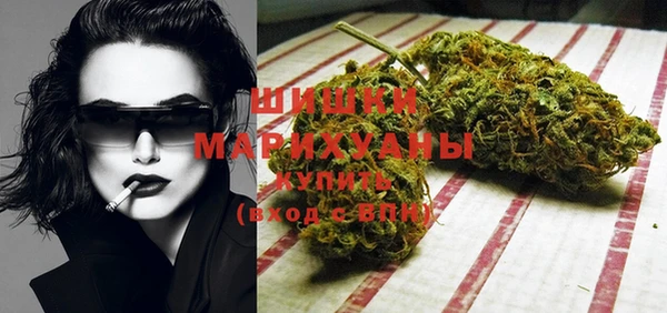 стафф Надым