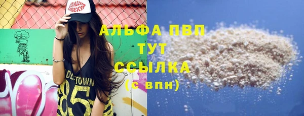 хмурый Нея