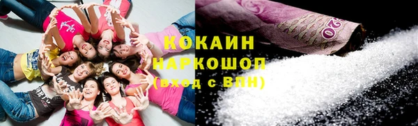 стафф Надым