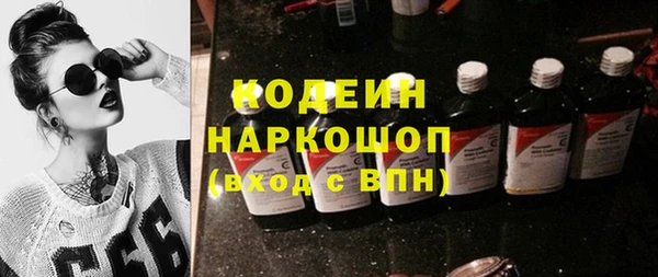 хмурый Нея