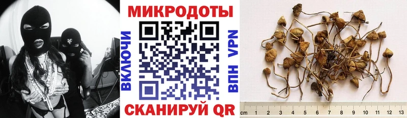 где найти наркотики  Нижняя Тура  Псилоцибиновые грибы MAGIC MUSHROOMS 